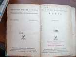 T Nalepinski "Kazia" (довоєнна Польша), фото №2