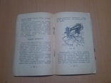 Инструкция Швейная машина Класса 1-А 1954 год, фото №8