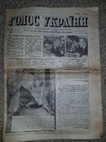Газета "Голос України", 5 серпня 1995 рiк, №145-146 (1145-1146), фото №2