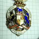 Награда масонов STEWARD. Серебро. RMIG 1924 г., фото №4