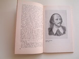Шекспир и Вольтер.Кагарлицкий Ю.И., фото №6