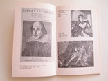 Шекспир и Вольтер.Кагарлицкий Ю.И., фото №7