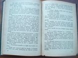 Feliks Brodowski Liote (довоєнна Польша), фото №4