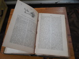 Иллюстрированный словарь общеполезных сведений под редакцией Эльпе 1898г, фото №7