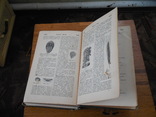 Иллюстрированный словарь общеполезных сведений под редакцией Эльпе 1898г, фото №10