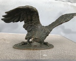 Фигура птица орёл Бронза, фото №2