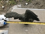 Фигура птица орёл Бронза, фото №5