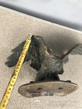 Фигура птица орёл Бронза, фото №7