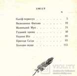 Вільгельм Гауф.Казки.1978 р., фото №4