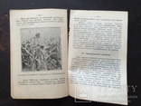 Рiльничi Конкурси Сiльскоi Молодi. Рiвне на Волинi, 1930 р., фото №9