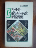 Садово огородный участок 1985р., фото №2