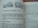 Садово огородный участок 1985р., фото №5