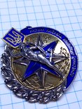 Почесний працівник туризму України (знак + мініатюра), фото №7