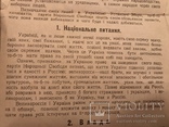 1918 УНР Выборы 100 лет назад Украинская Политическая Агитация, фото №3