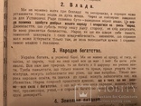 1918 УНР Выборы 100 лет назад Украинская Политическая Агитация, фото №4