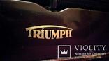 Рабочая немецкая печатная машинка Triumph 30х годов прошлого века в футляре., фото №12