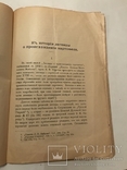 1911 Легенда о происхождении картофеля, фото №6