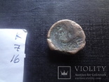 Монета Ольвии    (К.7.18)~, фото №7