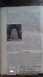 М. Грушевский . Илюстрированная история Украины. 1913 г. С 387 рисунками., фото №8