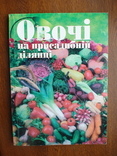 Овочі на присадибній ділянці 1999р., фото №2