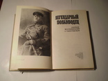 Легендарный полководец.Сборник воспоминаний о Г.И.Котовском.1981 г., фото №12