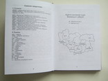 Легітимована правобережна шляхта.Список шляхти Київської,Волинської губернії.В 5т.т., фото №10