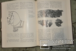 Мелитопольский Курган-1988 год. Тираж 1 750 экз., фото №13