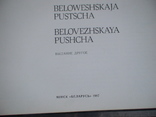 Беловежская пуща 1987р., фото №3