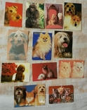 Календарики кошки собаки, фото №2