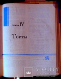 Производство пирожных и тортов, фото №9