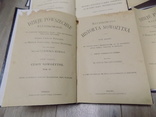 Всесвітня Історія на польській мові Відень 1895, фото №6