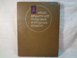 Атлас вредителей плодовых и ягодных культур, 1976 г, фото №2