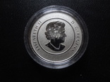 20 долларов 2013  Канада серебро 999    (О.14.6)~, фото №4