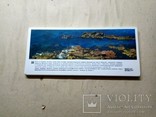 Комплект открыток : "Обитатели японского моря",набор,21 штука, фото №5