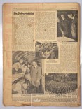 Німецькі газети 48 шт. 1940 року, фото №5