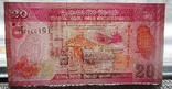   100,50,20  рупий.Шри-Ланка. UNC., фото №6