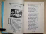 Конек-горбунок. Сказки русских писателей. 2000г. 336 с.ил. 20 тыс.экз., фото №6