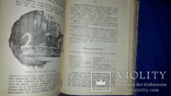 1912 Основы кулинарного искусства, фото №8