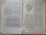 Журнал по садоводству. 1958-1960. 4 журнала., фото №10