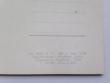 Открытка. Київ 1964 г. Издательство РУ. Чистая. 17, фото №6