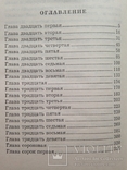 Херувим. Роман в 2 томах. Дашкова П.В. 2001., фото №7