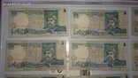 12 банкнот по 5 гривен 2001 года., фото №3