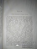 1880 Цицерон и его друзья, фото №7