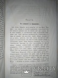 1880 Цицерон и его друзья, фото №11