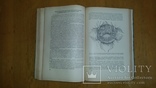 Оперативная гинекология. Брауде, 1952г, фото №9