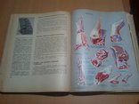 1974 год Книга о вкусной и здоровой пище, фото №10