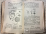 Підручник шофера третього класу 1953 рік., фото №6