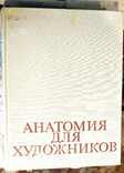 Книга Анатомия для художников, фото №2