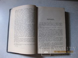 Собрание сочинений В. В. Вересаева. 1-й и 3-й том 1913 г., фото №6