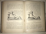 1898 Учебник Массажа для массажисток с 151 рисуноком, фото №4